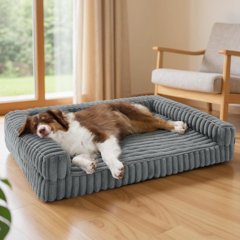 Bedsure Panier Chien Orthopédique Grand 89x64x18cm Canapé avec Rebords en Mousse à Mémoire de Forme Alvéolée, Imperméable, Fond Antidérapant, Housse Velours Côtelé Déhoussable, Gris